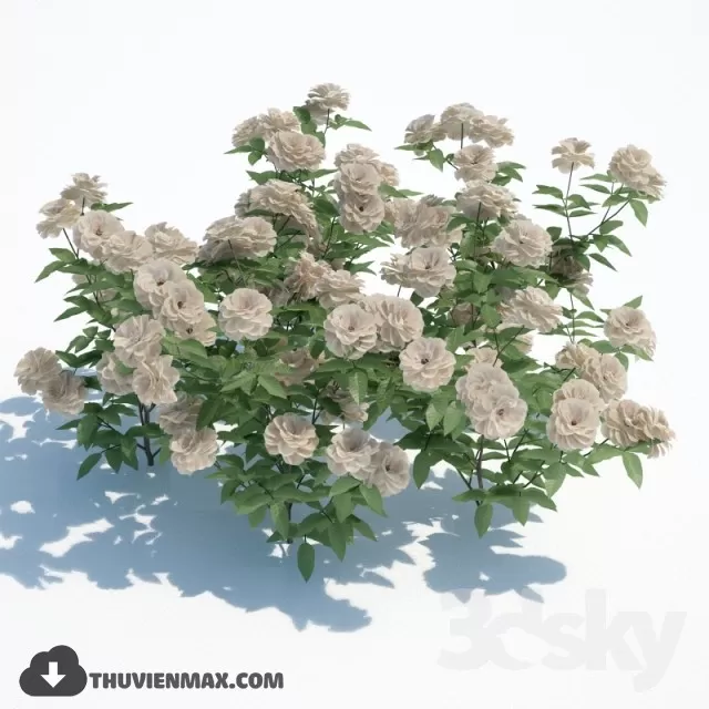 3DSKYFREE – PLANT 3DS MAX MODELS