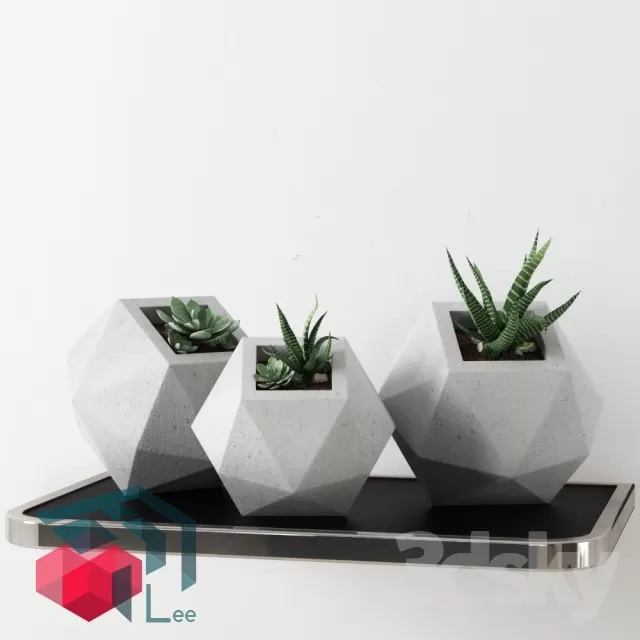 3DSKYFREE – PLANT 3DS MAX MODELS