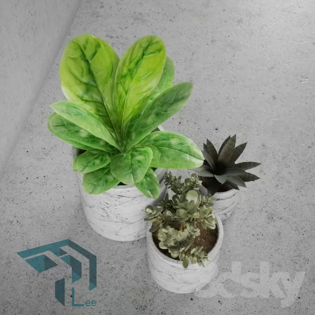 3DSKYFREE – PLANT 3DS MAX MODELS