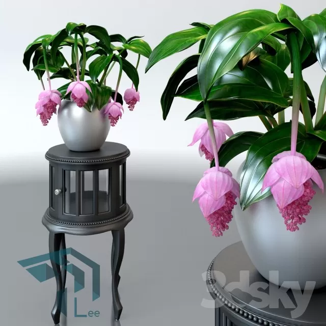 3DSKYFREE – PLANT 3DS MAX MODELS