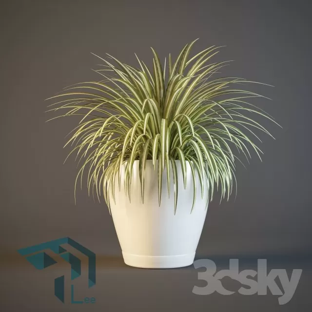 3DSKYFREE – PLANT 3DS MAX MODELS