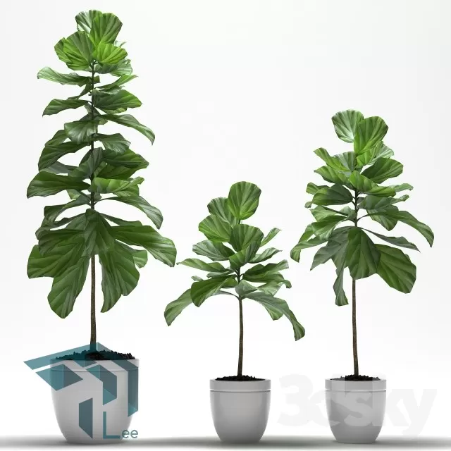 3DSKYFREE – PLANT 3DS MAX MODELS