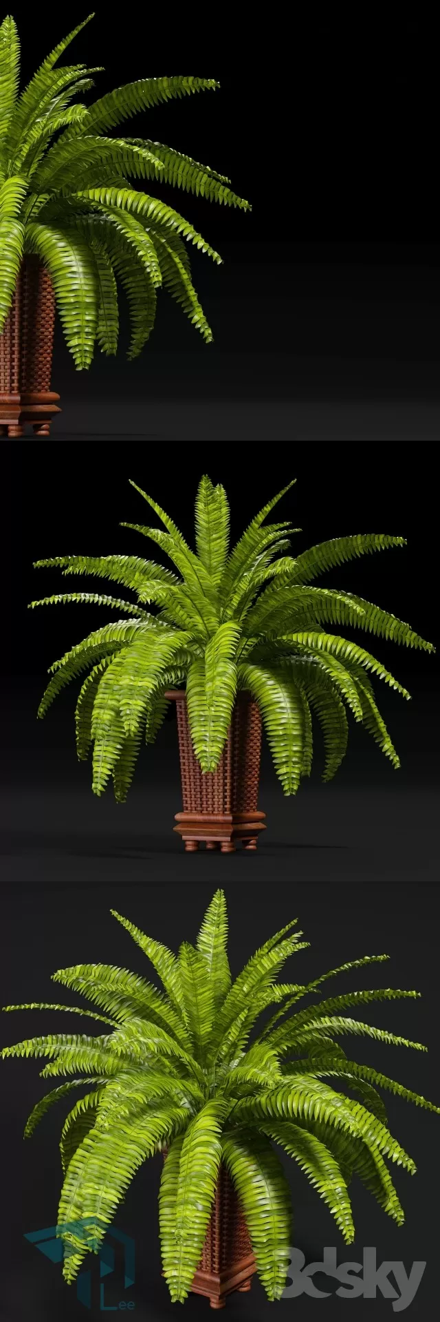 3DSKYFREE – PLANT 3DS MAX MODELS
