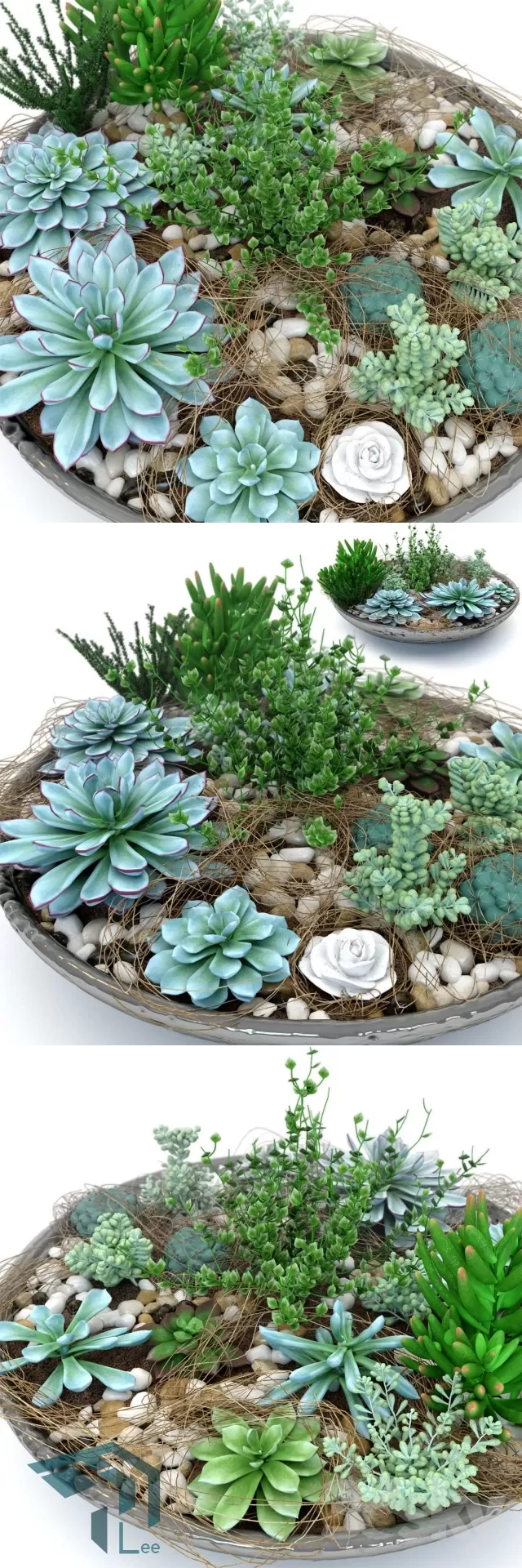 3DSKYFREE – PLANT 3DS MAX MODELS