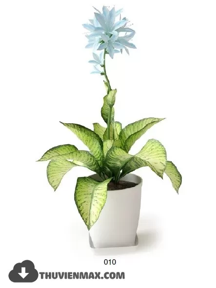 3DSKYFREE – PLANT 3DS MAX MODELS