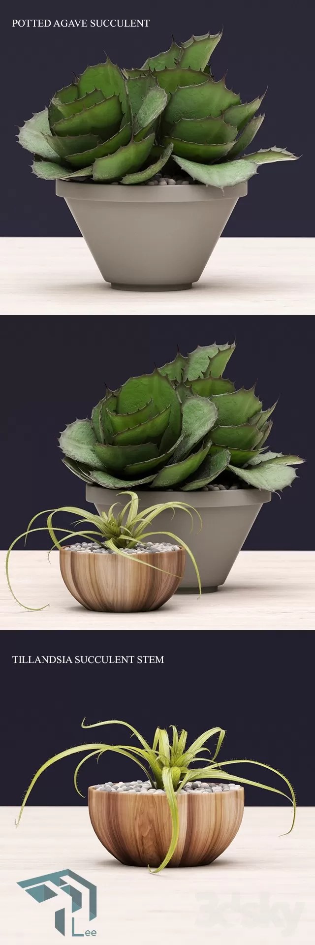 3DSKYFREE – PLANT 3DS MAX MODELS