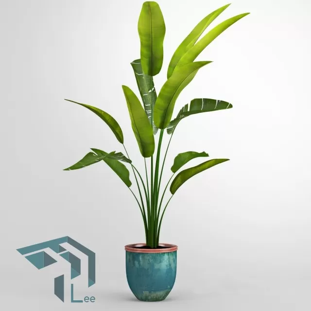 3DSKYFREE – PLANT 3DS MAX MODELS