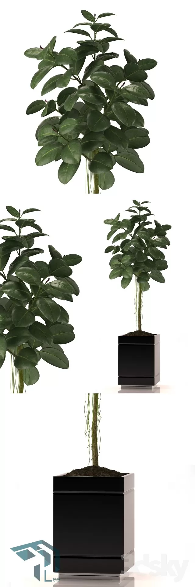 3DSKYFREE – PLANT 3DS MAX MODELS