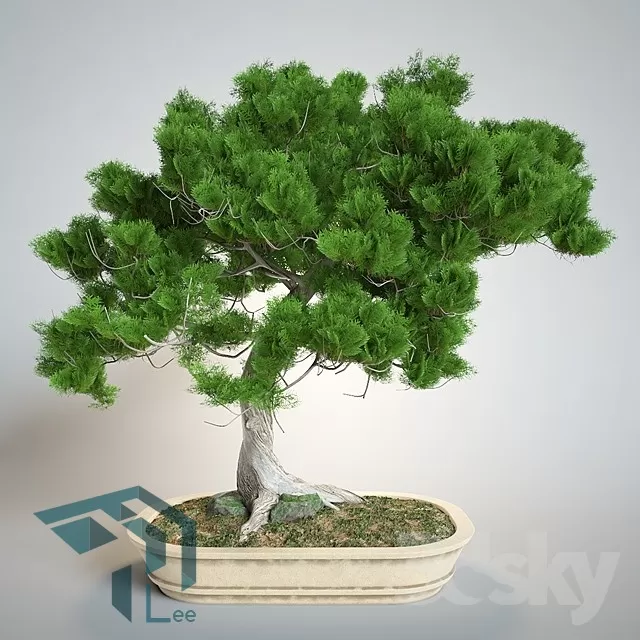3DSKYFREE – PLANT 3DS MAX MODELS