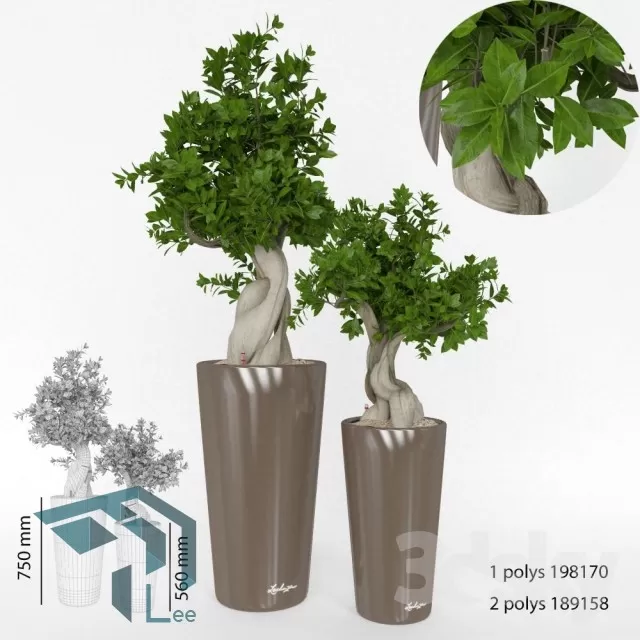 3DSKYFREE – PLANT 3DS MAX MODELS
