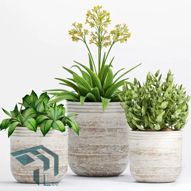 3DSKYFREE – PLANT 3DS MAX MODELS