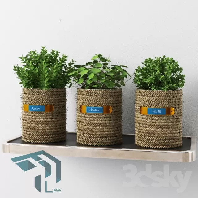 3DSKYFREE – PLANT 3DS MAX MODELS