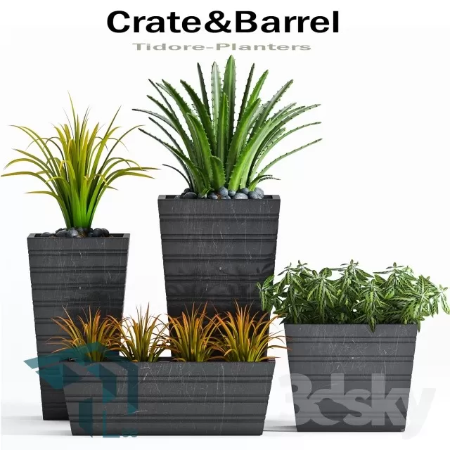 3DSKYFREE – PLANT 3DS MAX MODELS