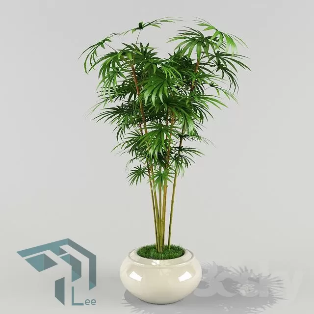 3DSKYFREE – PLANT 3DS MAX MODELS