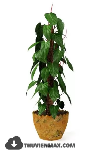 3DSKYFREE – PLANT 3DS MAX MODELS