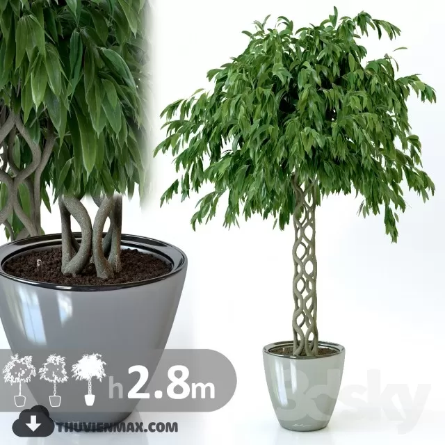 3DSKYFREE – PLANT 3DS MAX MODELS