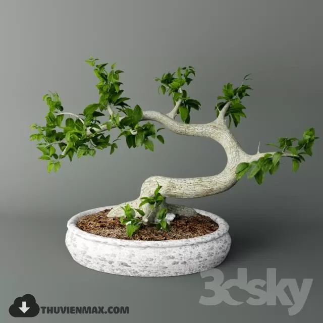 3DSKYFREE – PLANT 3DS MAX MODELS
