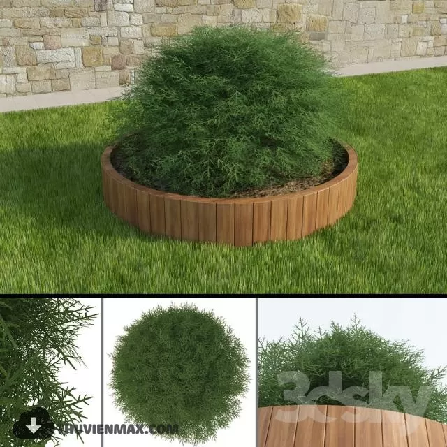 3DSKYFREE – PLANT 3DS MAX MODELS