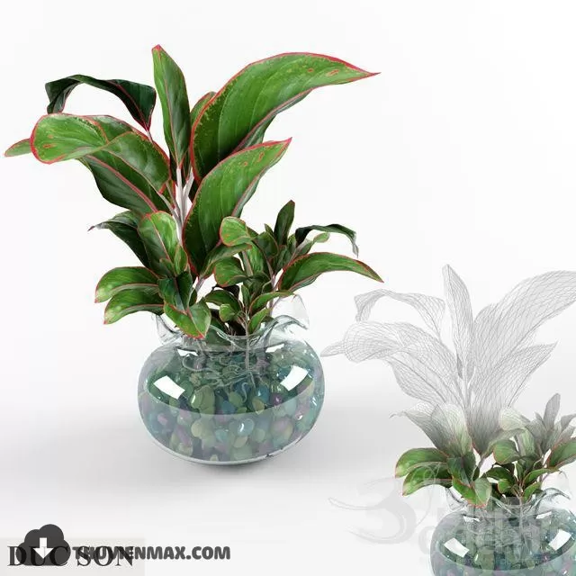 3DSKYFREE – PLANT 3DS MAX MODELS