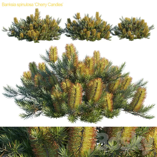 3DSKYFREE – PLANT - EXTERIOR 3DS MAX MODELS