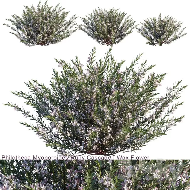 3DSKYFREE – PLANT - EXTERIOR 3DS MAX MODELS