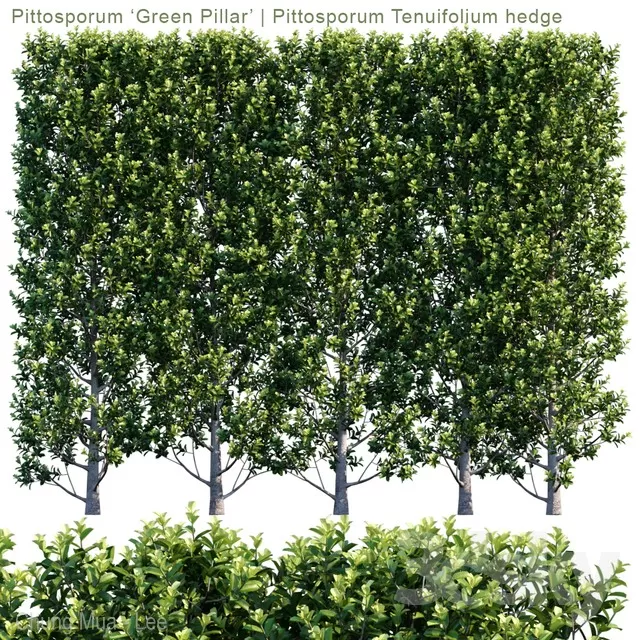 3DSKYFREE – PLANT - EXTERIOR 3DS MAX MODELS