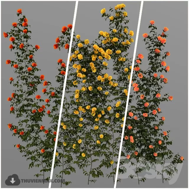 3DSKYFREE – PLANT - EXTERIOR 3DS MAX MODELS