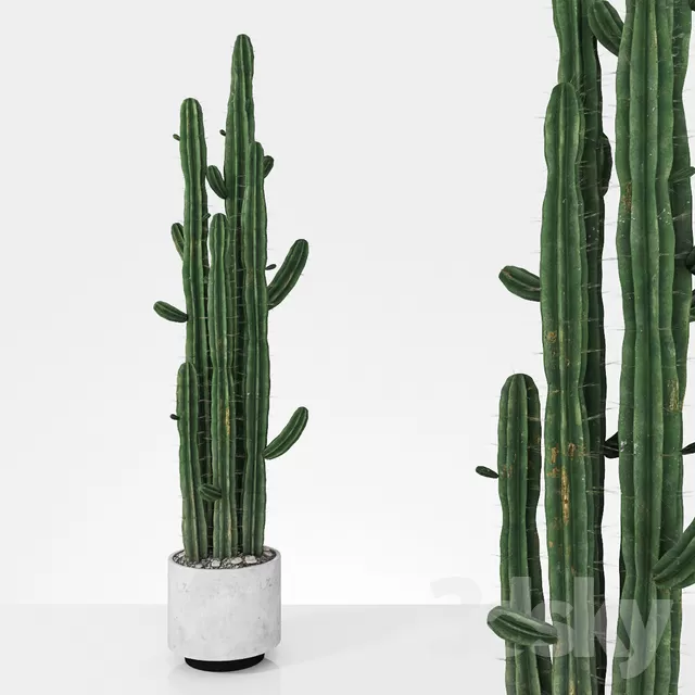 3DSKYFREE – PLANT - EXTERIOR 3DS MAX MODELS