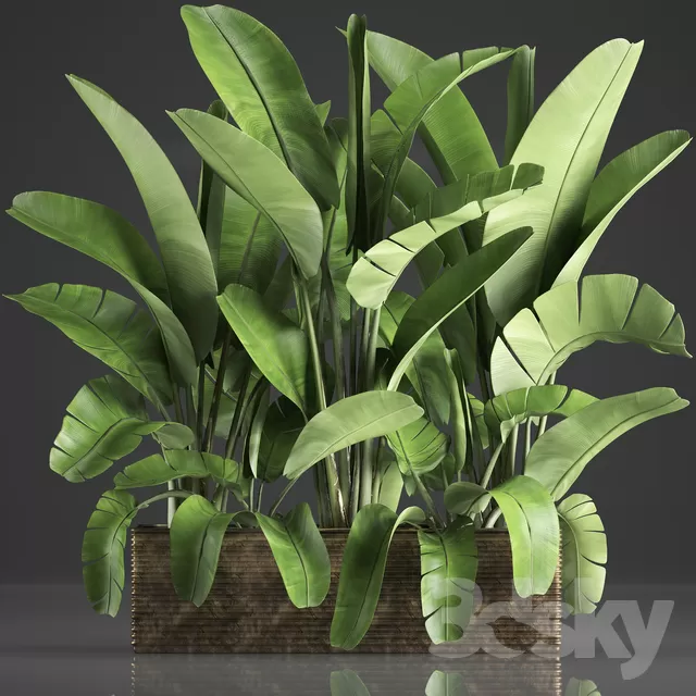 3DSKYFREE – PLANT - EXTERIOR 3DS MAX MODELS