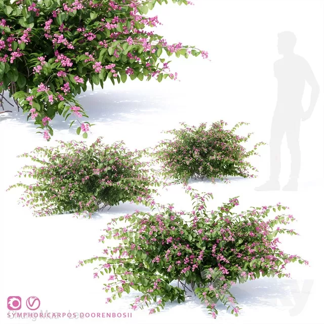 3DSKYFREE – PLANT - EXTERIOR 3DS MAX MODELS