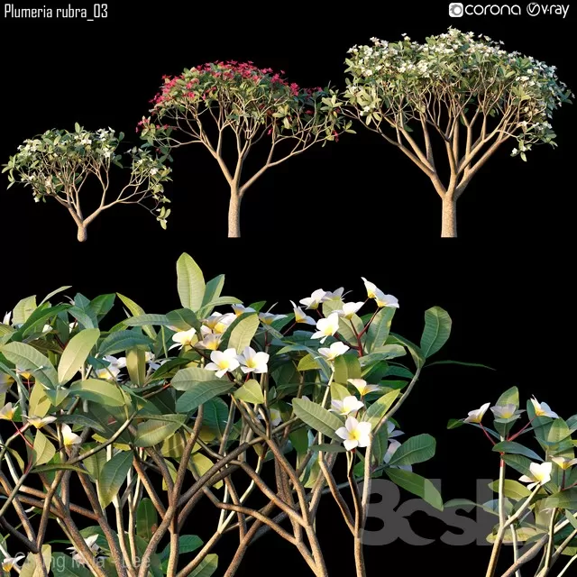 3DSKYFREE – PLANT - EXTERIOR 3DS MAX MODELS