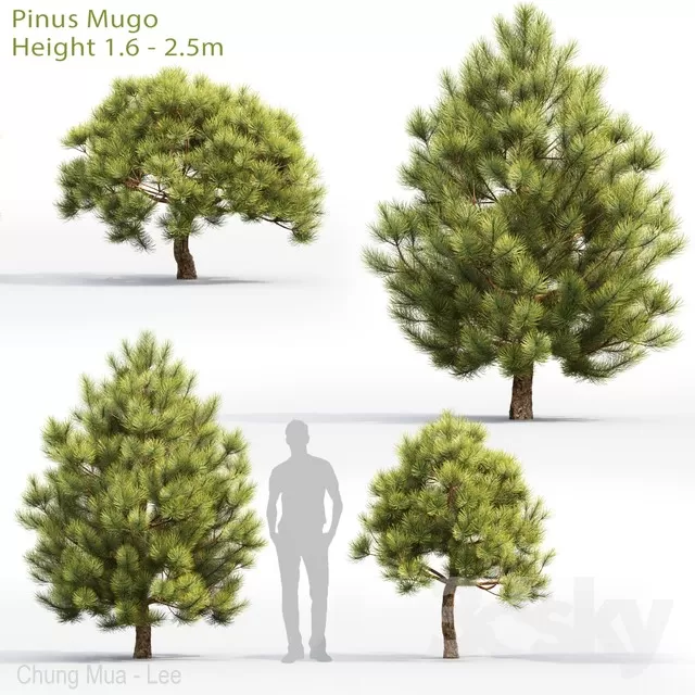 3DSKYFREE – PLANT - EXTERIOR 3DS MAX MODELS