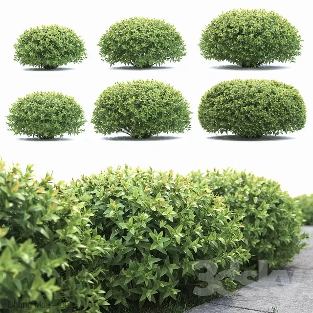 PLANT - EXTERIOR 3D MODELS