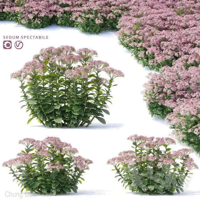 3DSKYFREE – PLANT - EXTERIOR 3DS MAX MODELS
