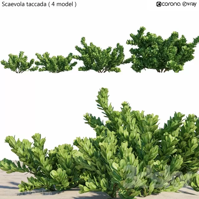 3DSKYFREE – PLANT - EXTERIOR 3DS MAX MODELS