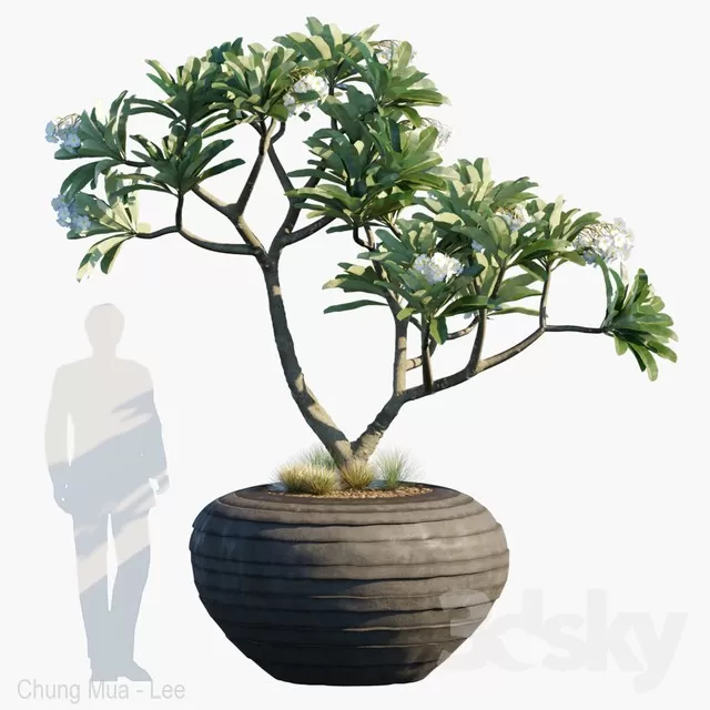 3DSKYFREE – PLANT - EXTERIOR 3DS MAX MODELS
