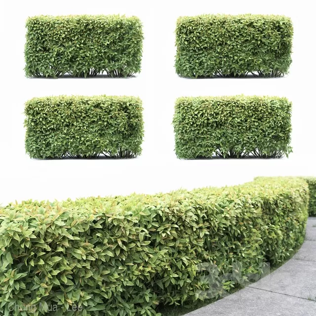 3DSKYFREE – PLANT - EXTERIOR 3DS MAX MODELS