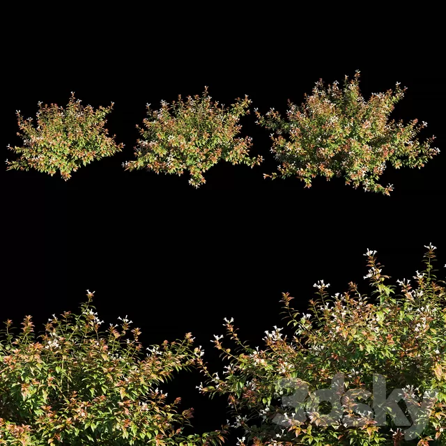 3DSKYFREE – PLANT - EXTERIOR 3DS MAX MODELS