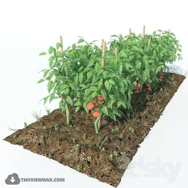 3DSKYFREE – PLANT - EXTERIOR 3DS MAX MODELS