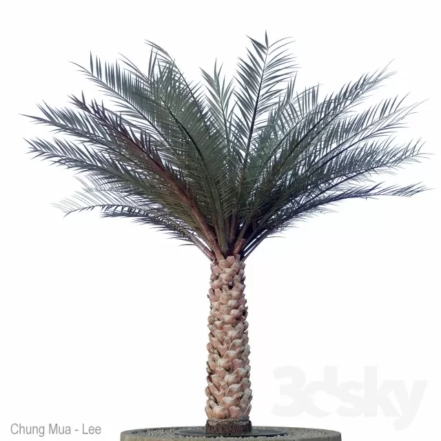 3DSKYFREE – PLANT - EXTERIOR 3DS MAX MODELS