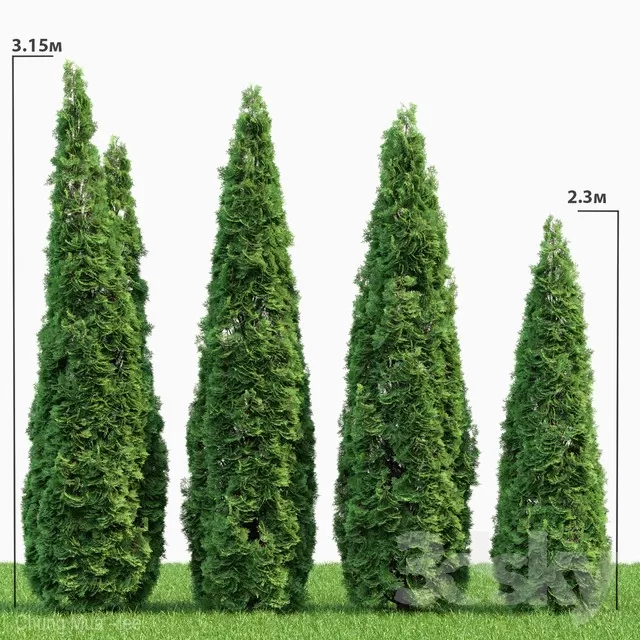 3DSKYFREE – PLANT - EXTERIOR 3DS MAX MODELS