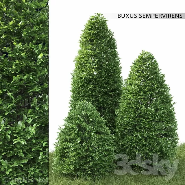 3DSKYFREE – PLANT - EXTERIOR 3DS MAX MODELS