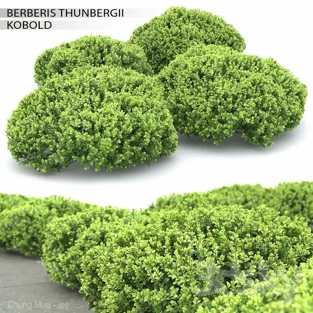 3DSKYFREE – PLANT - EXTERIOR 3DS MAX MODELS