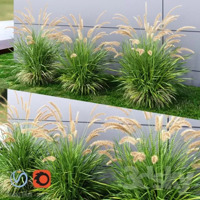 3DSKYFREE – PLANT - EXTERIOR 3DS MAX MODELS