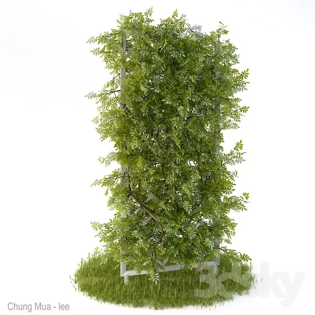 3DSKYFREE – PLANT - EXTERIOR 3DS MAX MODELS