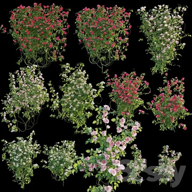 3DSKYFREE – PLANT - EXTERIOR 3DS MAX MODELS