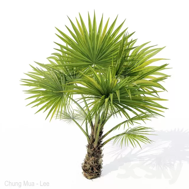 3DSKYFREE – PLANT - EXTERIOR 3DS MAX MODELS