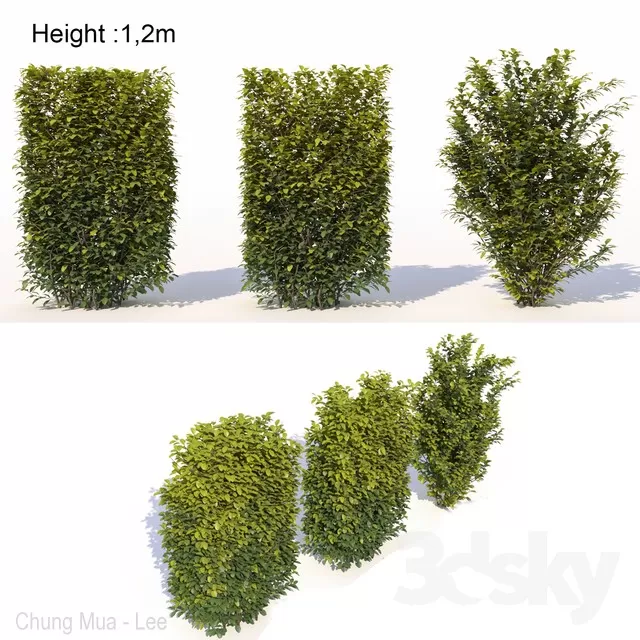 3DSKYFREE – PLANT - EXTERIOR 3DS MAX MODELS