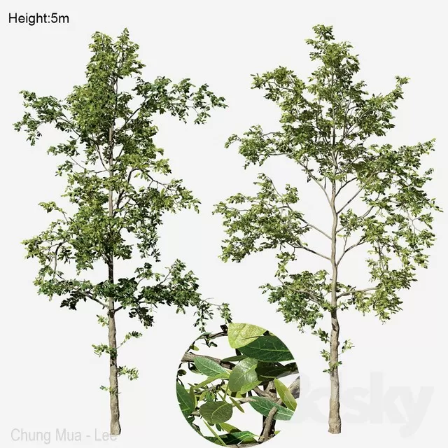 3DSKYFREE – PLANT - EXTERIOR 3DS MAX MODELS