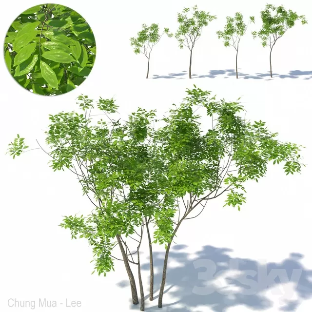 3DSKYFREE – PLANT - EXTERIOR 3DS MAX MODELS